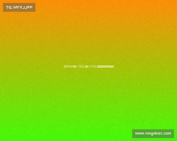 800AH锂电+152L冰箱+210L清水,新款隆翠哆啡房车 800AH锂电+152L冰箱+210L清水,新款隆翠哆啡房车